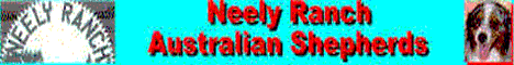 NEELYRANCH BANNER