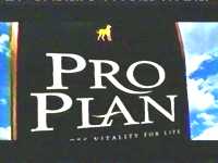 Pro Plan Of Course!!